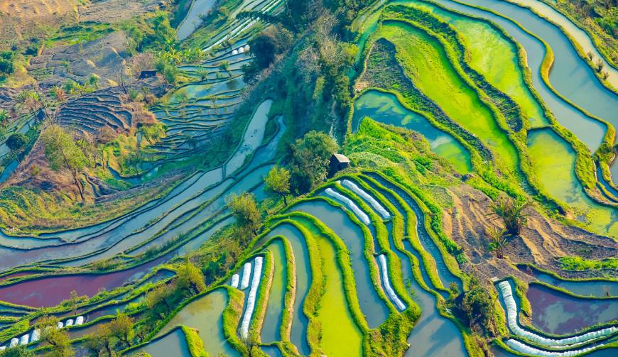 走进桃城区TVC拍摄：解锁本地化场景与创意镜头的完美融合